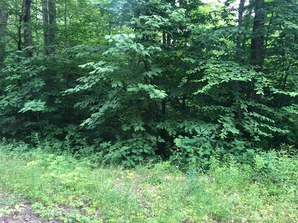 Bear Road #117, Haverhill, NH 03785