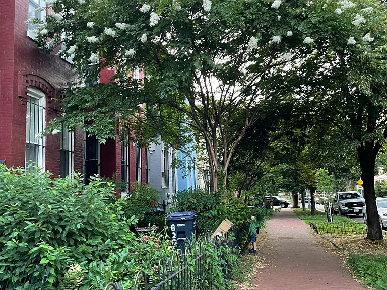 Quiet, Tree-lined Block