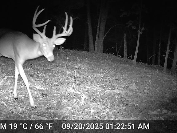 2nd image of 30915 Broken Circle Rd