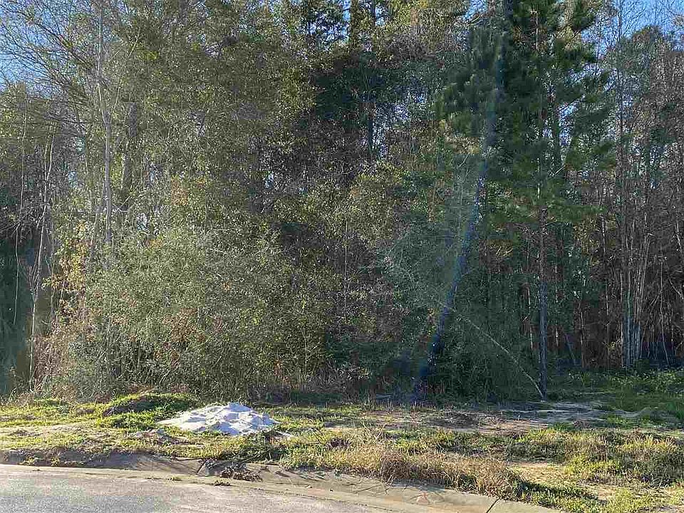 2nd image of 2610 Grandaddy Ln