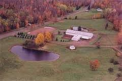 Beautifull Royal Palm Ranch