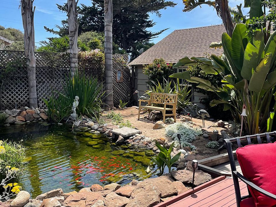 Koi pond