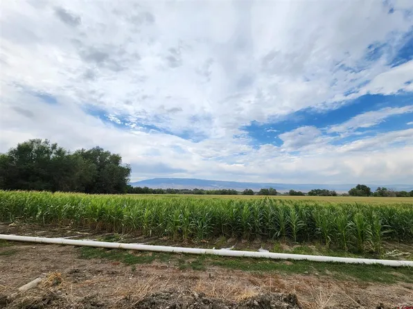 TBD H Road, Delta, CO 81416