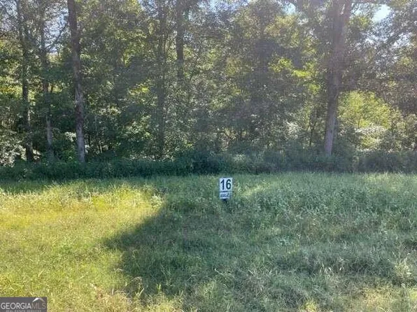 16 Clear Creek Trl, Ellijay, GA 30536