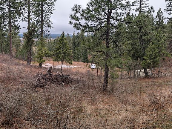 2nd image of 6303 W Dower Rd