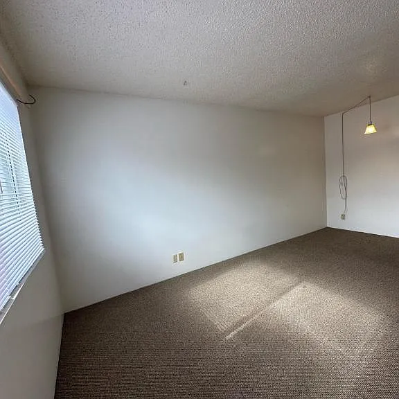 1212 D St #5 — Photo 5