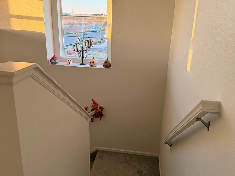 9330 Bahama Ct — Photo 13