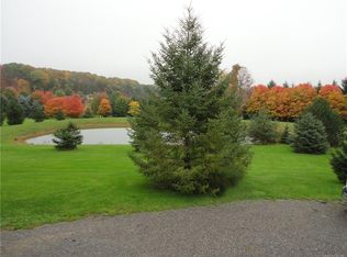 11777 Genesee Rd, East Concord, NY 14055