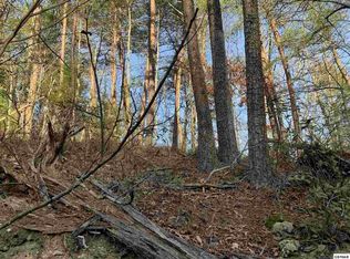 10 Teaberry Hill Way LOT 10, Sevierville, TN 37862