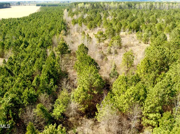 0 Black Mingle Road, Gates, NC 27937