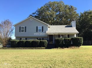 40 Greenleaf Dr, Hampton, GA 30228