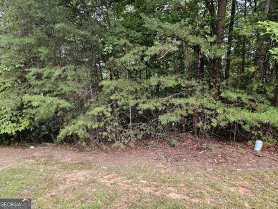 0 Fischer Strasse LOT 83, Helen, GA, 30545