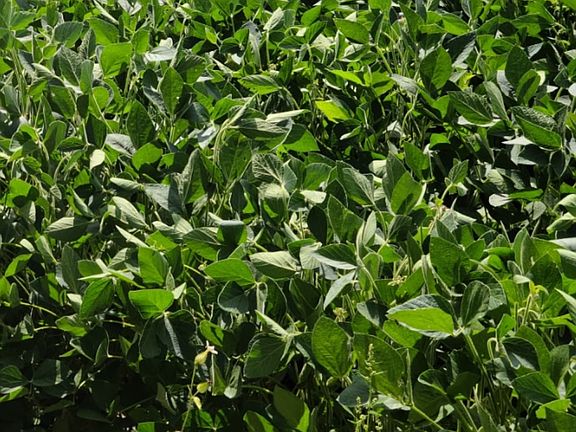 4th image of County Road 36