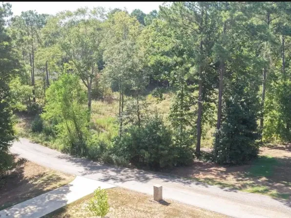 LOT 66 Bralan Dr, Diana, TX 75640