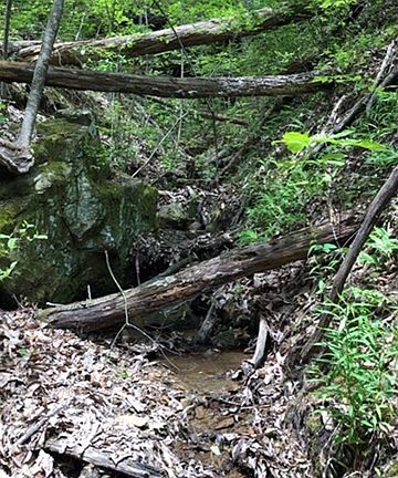 3rd image of LOT 50 Big Rock Ln