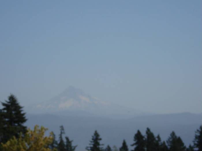 Mt. Hood View
