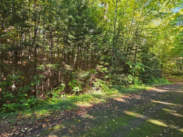 Moonshine Valley Rd #2AC, Presque Isle, WI 54557