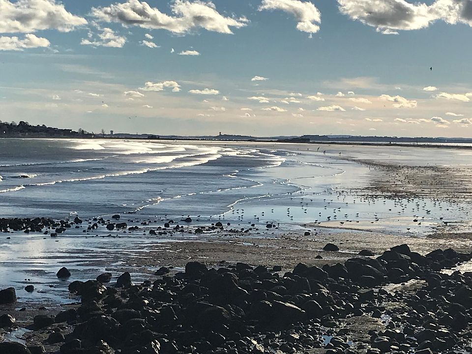 36 Sagamore St APT 4, Lynn, MA 01902 Zillow