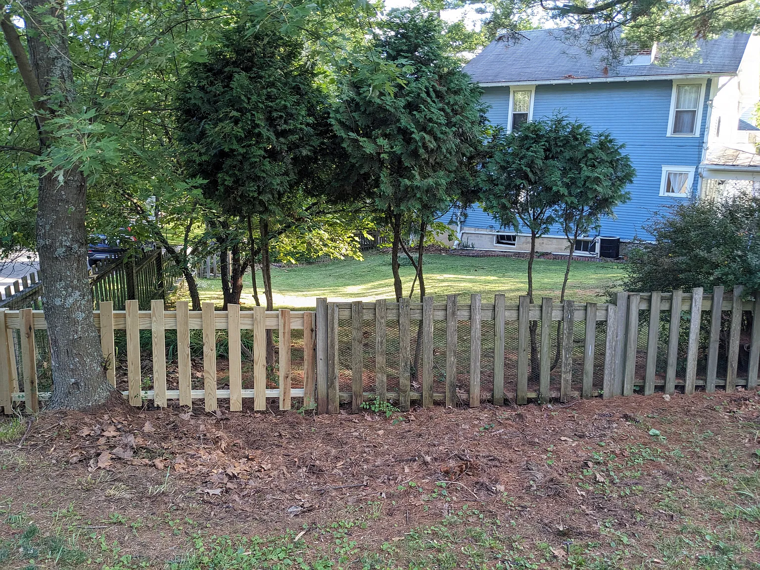 3 bed, 1.5 bath, $1,800 — Photo 3