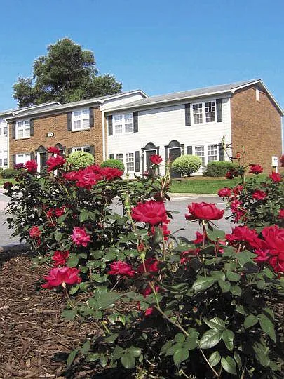 Clemmons Trace Village Apartments — Photo 1
