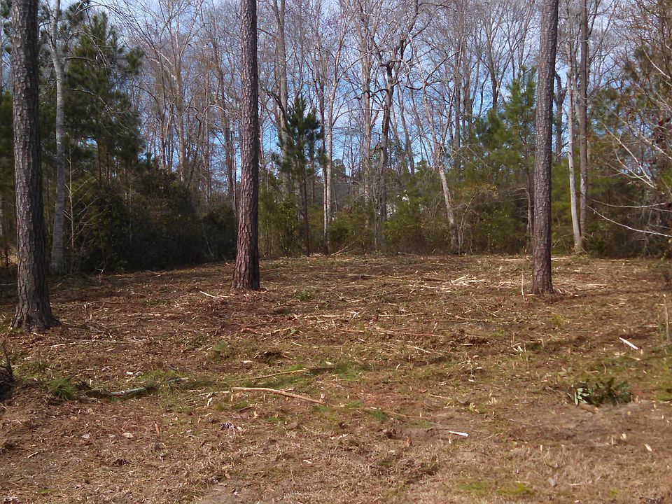 2nd image of Grey Moss