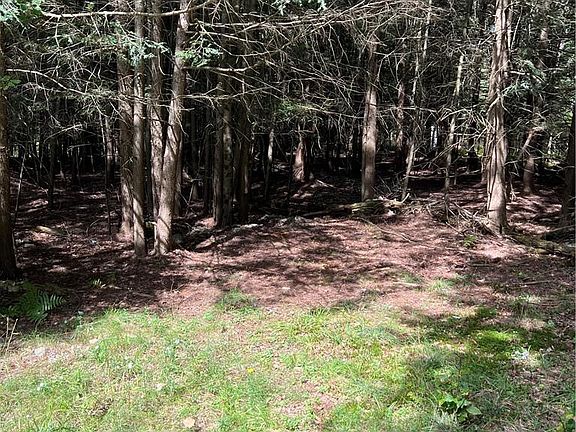4th image of 000 Cooper Drive Road