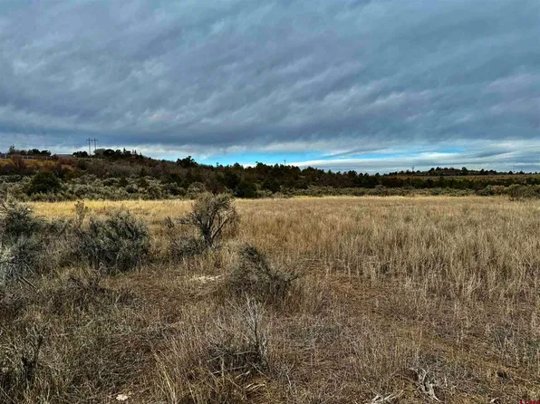 000 T5 Road, Dolores, CO 81323