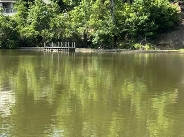8 & 8B Scenic Shores Way, Jacksons Gap, AL 36861