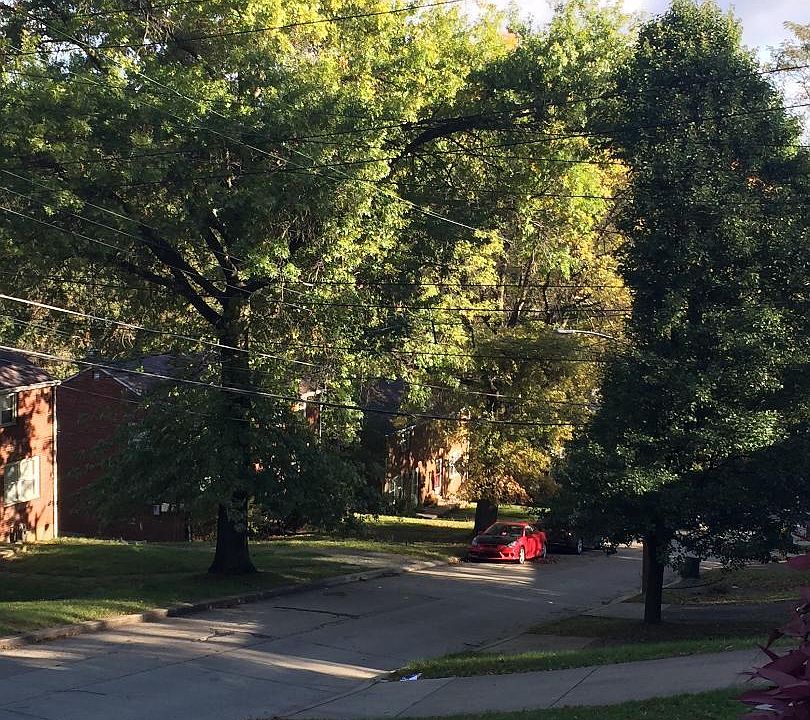 2nd image of 3367 Jameson Dr #090a6bf8d