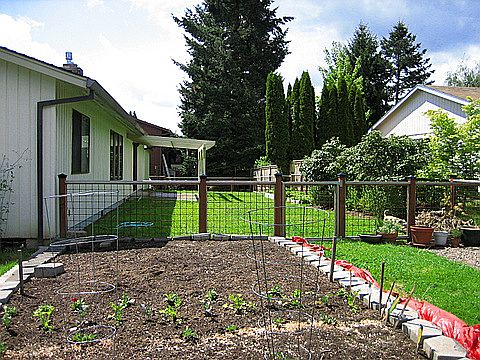 Garden and back yard
