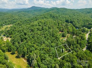 11 Roys Ln, Black Mountain, NC 28711