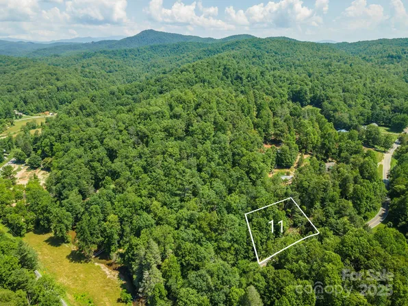 11 Roys Ln, Black Mountain, NC 28711