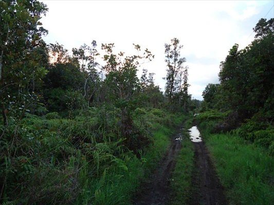 2nd image of Road 6