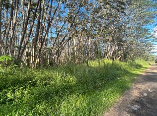 Lehua Rd LOT 433, Pahoa, HI 96778