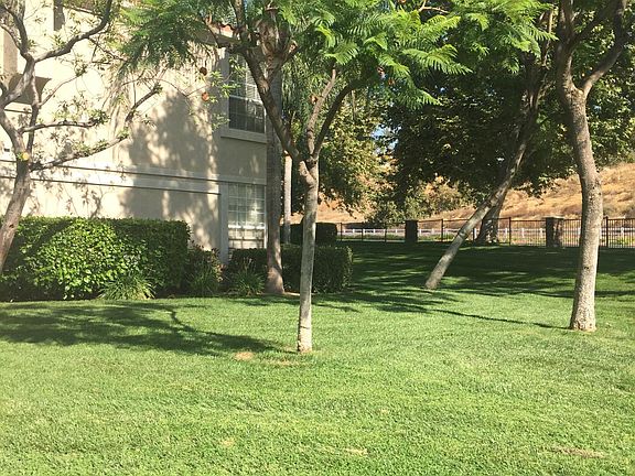 yard area outside of bedroom.