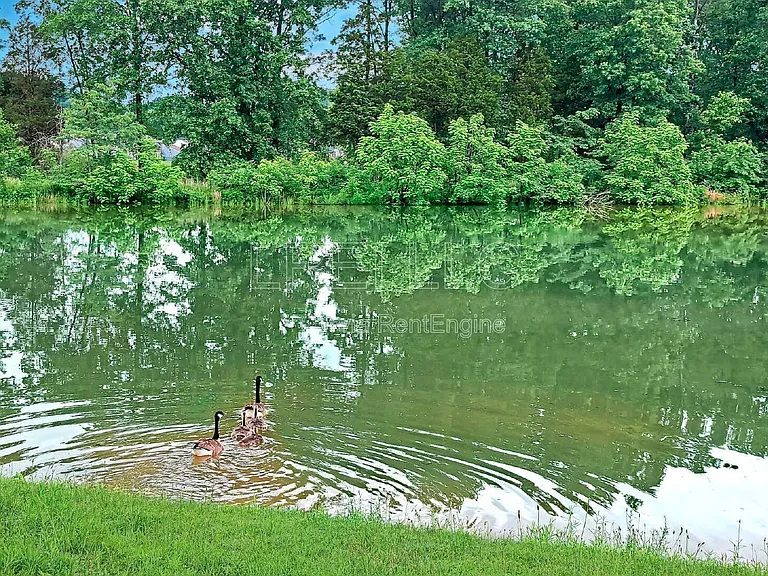 222 Mud Hen Dr — Photo 14