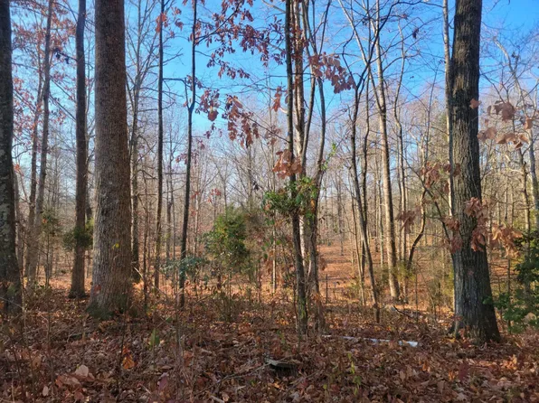 1573 Clifton Cemetery Rd, Spring City, TN 37381