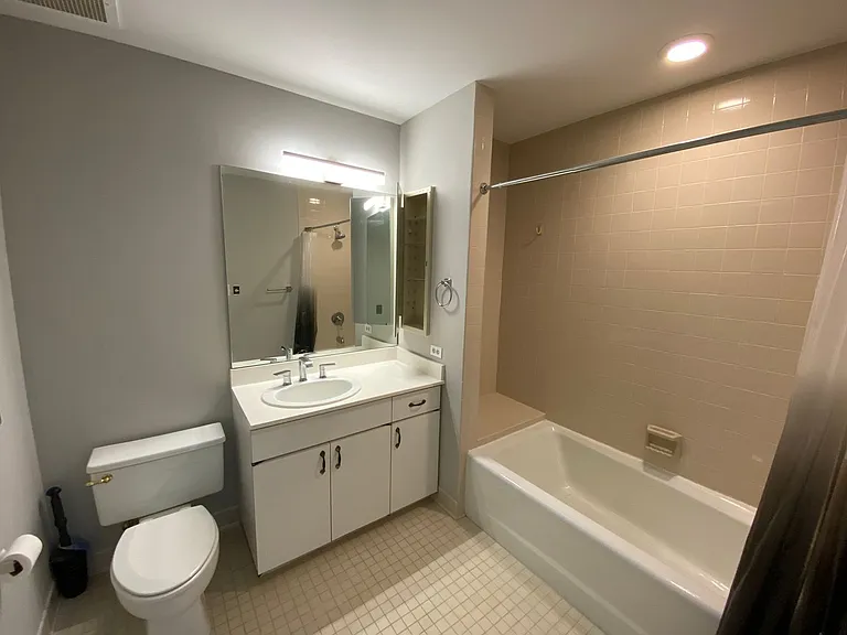 10 E Lee St #1503 — Photo 15