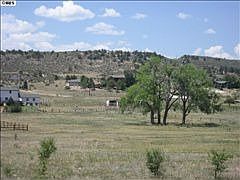 4th image of 6675 Lipizzan Dr