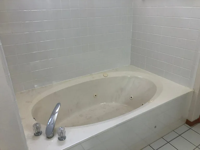 master bathroom tub