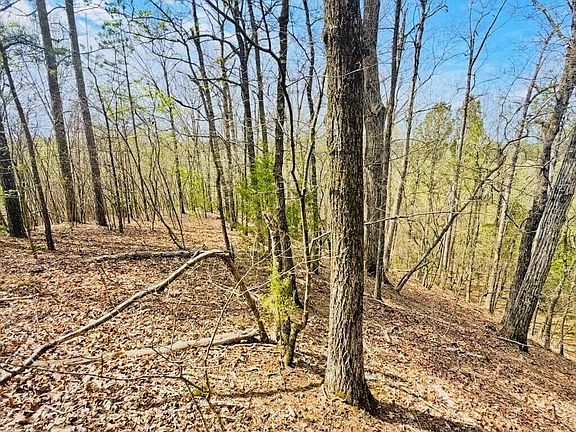 4th image of 0 T Johnson Rd NE