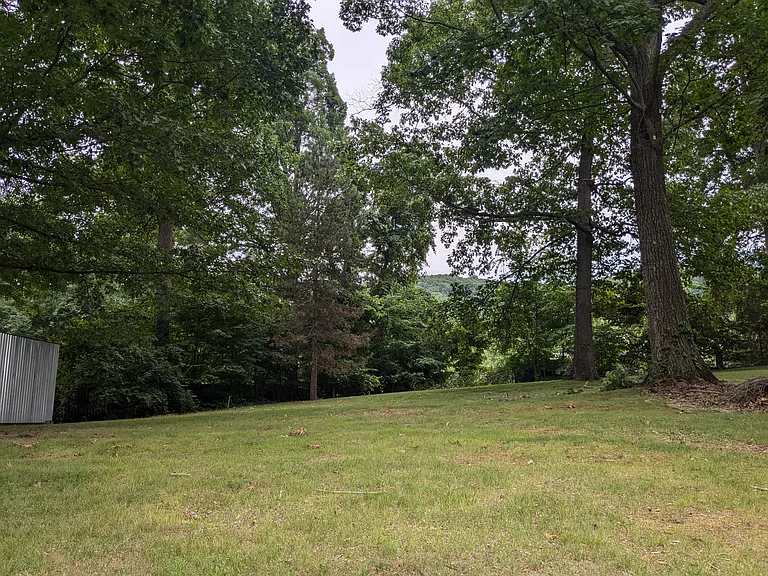 Huge, fenced backyard