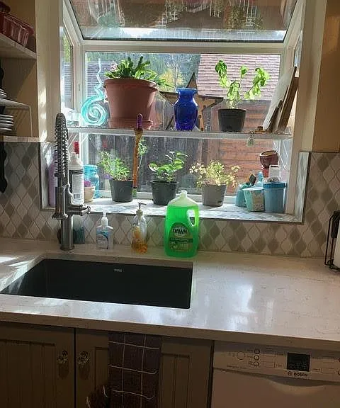 Window for growing herbs