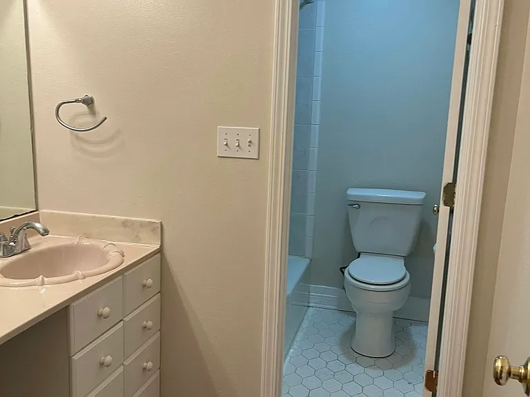 Hall bathroom