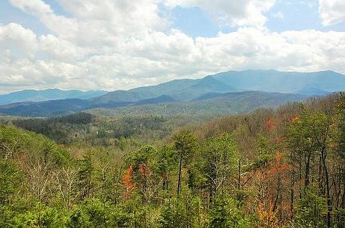 3rd image of Mountain Dr