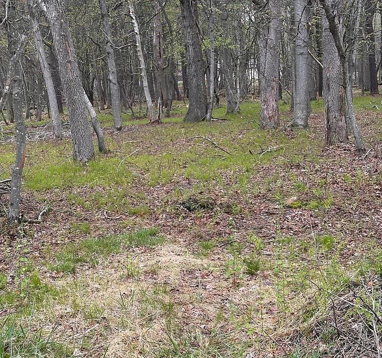 1st image of 675 Stony Mountain Rd