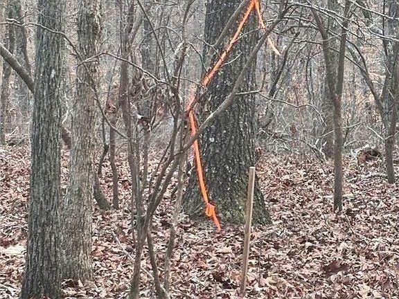 5th image of 0ZZ Kelly Bridge Rd