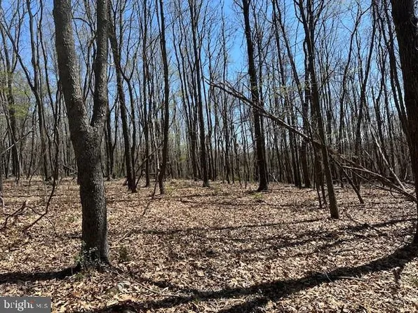 LOT 30 Pear Ln, Romney, WV 26757