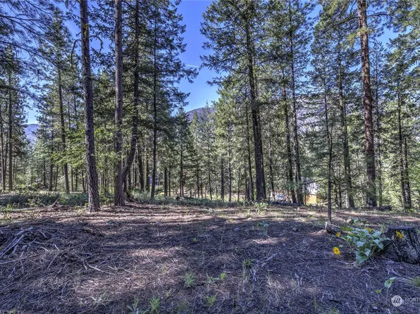 20 Cassal Road, Winthrop, WA 98862