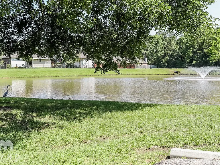 33119 Cottonwood Bnd — Photo 16